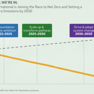 info graph, non-scientific curve graph showing current to zero carbon emissions by 2050 and milestones along the way.