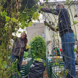 people working with plants