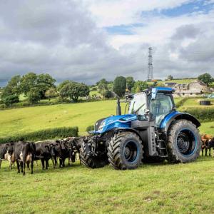 A large blue tractor in a field of cows.