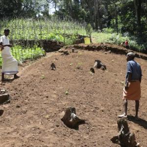 People gathered at a cleared site.