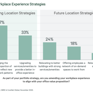 Figure 7: Workplace Experience Strategies