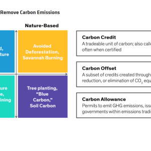 info graphic about how Offsets Help Avoid, Remove Carbon Emissions