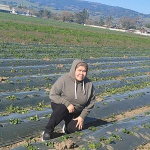 Farm worker next to rows in a field