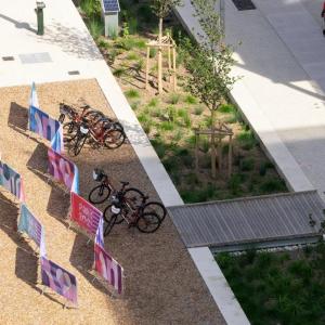 Bicycles in a designated bike area 