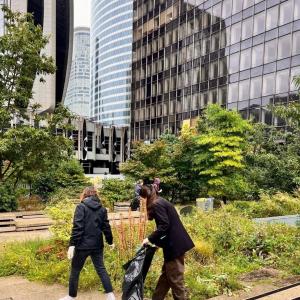 Two people collecting trash from green areas.