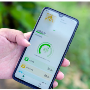 a hand holding a smart phone with an open app in a foreign language