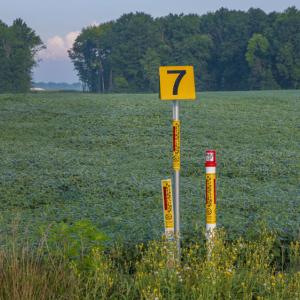 A pipeline marker in a large field.
