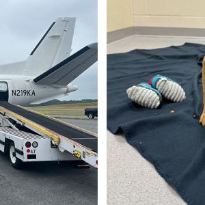 plane ready for dogs on left and a puppy on the right