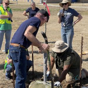volunteers planting
