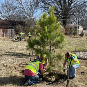 volunteers planting