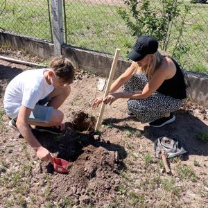 An adult and child digging a hole.