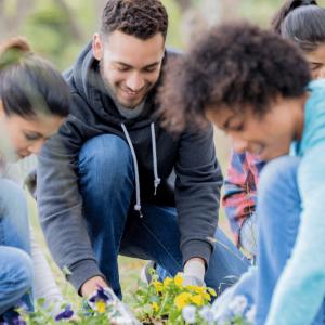 A group of people planting flowers outside.