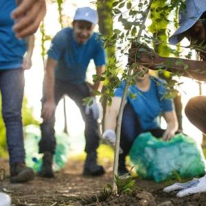 People planting a tree