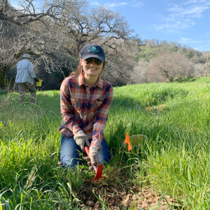 a person knelt beside an orange flag marking a planted tree