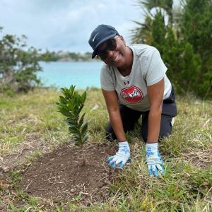 A person planting a tree