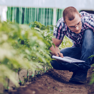 person looking at plants