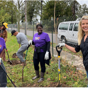 Volunteers planting trees in a park.