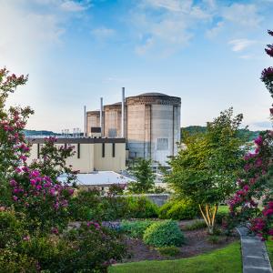 steam towers in the background, flowering bushes in front