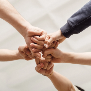 Powerful Partnerships