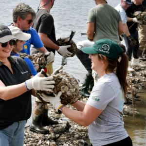 People helping each other to place water barriers