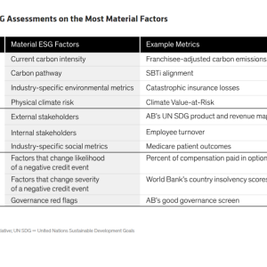 Info graphic chart "PRISM Focuses ESG Assessments on the Most Material Factors"