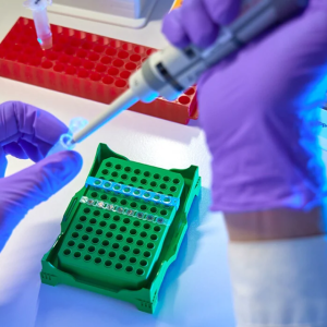 Gloved hands filling a test tube