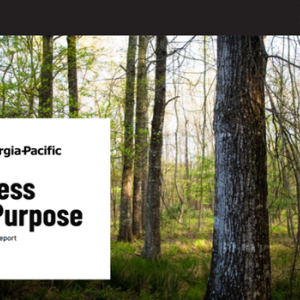 Cover page "Georgia-Pacific Progress with Purpose Report"