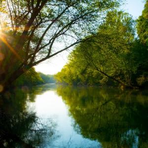 River with overhanging trees and setting sun