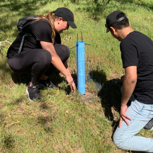 two people knelt by a sapling