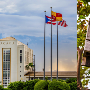 Collage of Bacardi building and a bat house, with "WHC CERTIFIED" logo