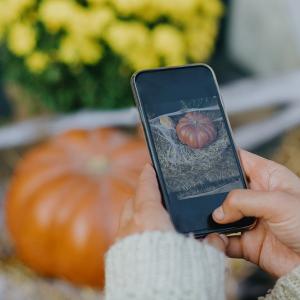 Someone taking a picture of a pumpkin on a cell phone
