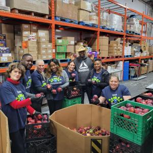 people gathering apples in a warehouse