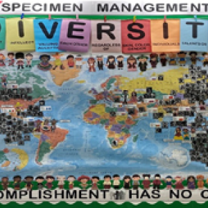 A large quilt of a world map and faces pinned to certain places. "Diversity" sign above and "Accomplishment has no color" at the bottom.