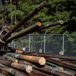 pile of old power poles