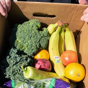 Fresh vegetables in a Mill Village Farms Foodshare box.
