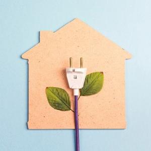 An electric plug with leaves on the cord on top of a cut out house.