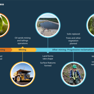 Info graphic of "Reclamation Process" outlining steps from Before mining, mining, and after mining.