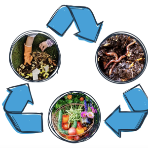 composting steps infographic 