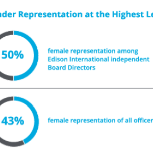 Info graphic "Gender Representation at the highest Levels". Two pie charts showing statistics.