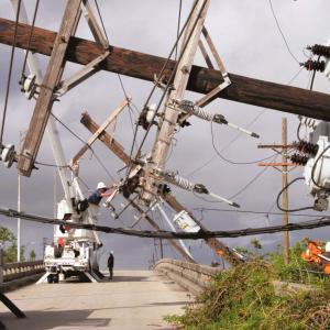 Downed power poles, with Entergy vehicles at work