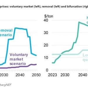 Carbon offset price infographic 