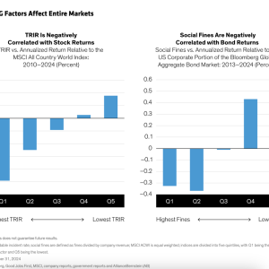 "Some ESG Factors Affect Entire Markets" with graphs
