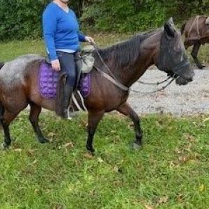 Julia Reilly riding a horse