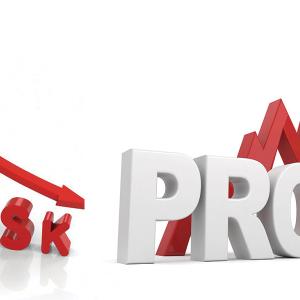 risk v profit words