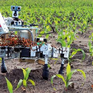 agriculture robot