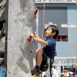 a child on a rock wall