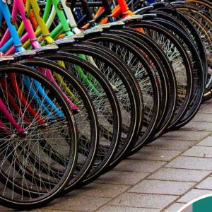 A row of bicycles parked at the street