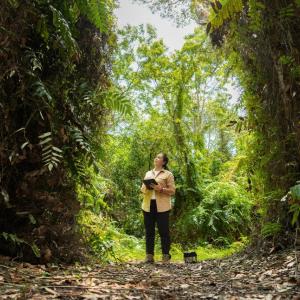 person in the forest