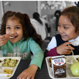 Two children eating school lunches