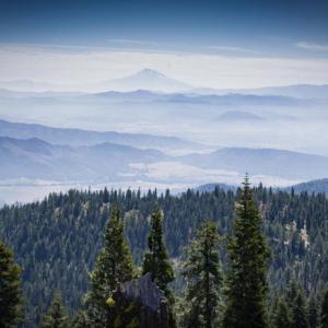 Scotts River Valley, CA